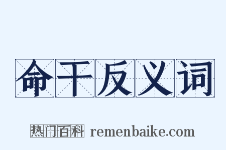 命干反义词是什么意思的图片